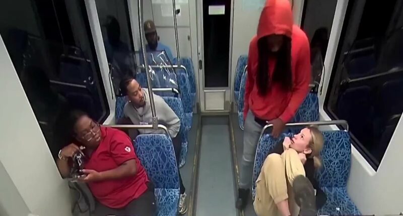 A DEI mayor, an inconvenient crime and video they never wanted you to see: MAUREEN CALLAHAN knows why the Left has sympathy for that killer... but none for his victim