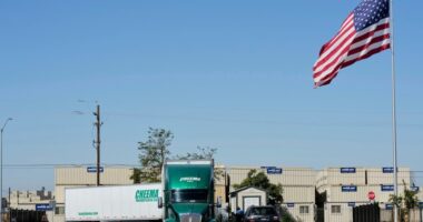 A deadly crash, a divided nation: Why Sikh truckers are now in the crossfire