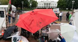 A decades-long peace vigil outside the White House is dismantled after Trump's order