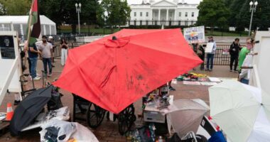 A decades-long peace vigil outside the White House is dismantled after Trump's order