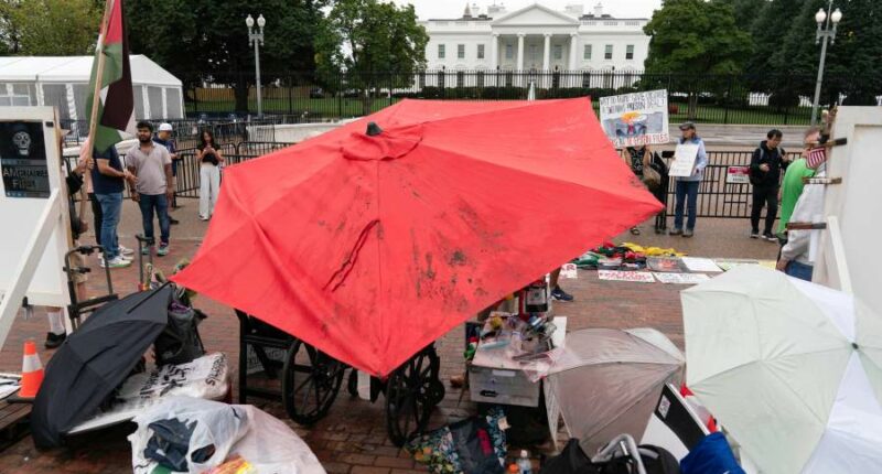 A decades-long peace vigil outside the White House is dismantled after Trump's order