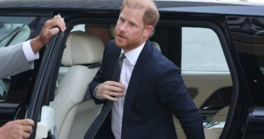 AMANDA PLATELL: Harry is 'desperate' to come back to Britain and reclaim his royal role - but this fresh snub from William makes it clear why it will never happen... and why he'll never forgive his brother