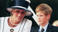 AMANDA PLATELL: I know what's really sabotaging Harry's reconciliation with Charles. I experienced it first-hand with his mother and now history is repeating itself