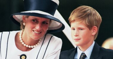AMANDA PLATELL: I know what's really sabotaging Harry's reconciliation with Charles. I experienced it first-hand with his mother and now history is repeating itself