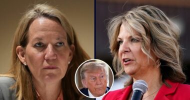 AZ appeals court denies bid to revive 'fake electors' case