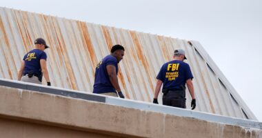 Acting ICE Director Todd Lyons calls Dallas facility shooting 'my worst nightmare'