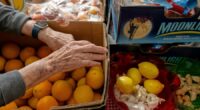 After cuts to food stamps, Trump administration ends government's annual report on hunger in America