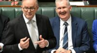 Albanese government makes major announcement on migration numbers
