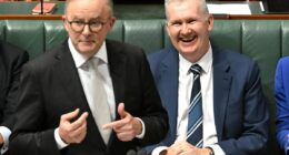 Albanese government makes major announcement on migration numbers