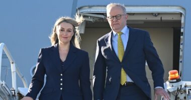 Albanese makes formal call on Palestine ahead of meeting with Trump