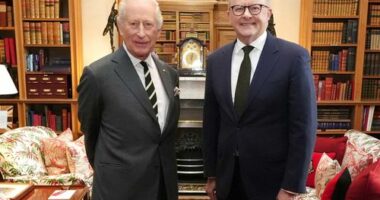 King Charles III during an audience with Australian Prime Minister Anthony Albanese at Balmoral Castle.