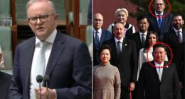 Albo's one-word response when quizzed over Dan Andrews' trip to China