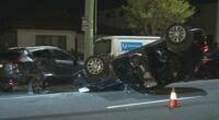 Footage has captured the moment an allegedly drunk driver returned to the scene of a dramatic crash in Sydney's south-west and was swiftly arrested by police.