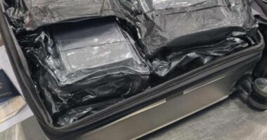 A 31-year-old American woman allegedly had $6.5 million worth of cocaine packed in her suitcase when she landed at Sydney Aiport yesterday.