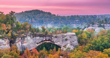 An entire Kentucky town hits the market for $350k, but there's a catch