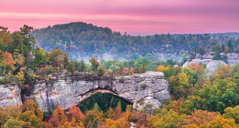 An entire Kentucky town hits the market for $350k, but there's a catch