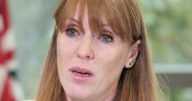 Angela Rayner QUITS after sleaze report finds she DID breach code