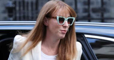 Angela Rayner's home 'valued far higher than neighbouring properties'