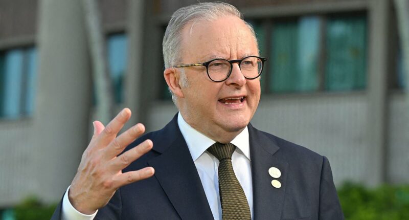 Anthony Albanese lashed by Trump allies over Palestine plans