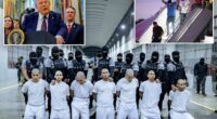 Appeals court blocks Trump from deporting members of Tren de Aragua gang