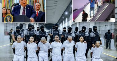 Appeals court blocks Trump from deporting members of Tren de Aragua gang