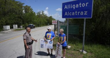 Appeals court lets Florida keep Alligator Alcatraz open