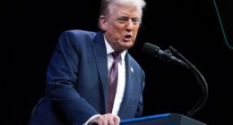 Appeals court upholds E. Jean Carroll's $83.3 million defamation judgment against President Trump