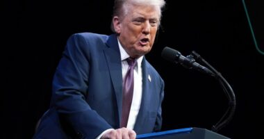 Appeals court upholds E. Jean Carroll's $83.3 million defamation judgment against President Trump