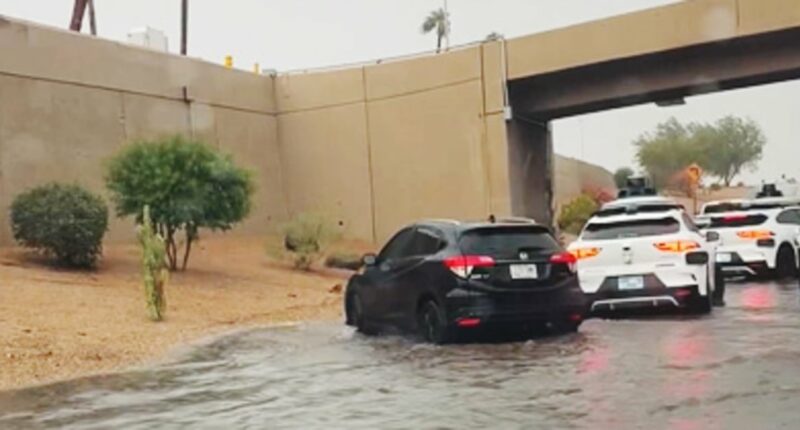 At least 4 dead as torrential flooding hits Arizona