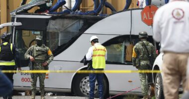 At least 8 dead as bus filled with people collides with train