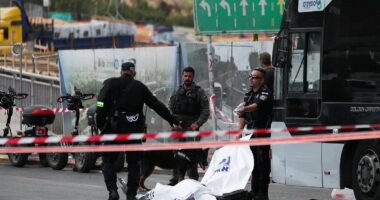 At least five dead as gunmen 'board bus and open fire