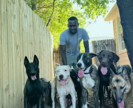Austin dog handler detained by ICE during routine check-in