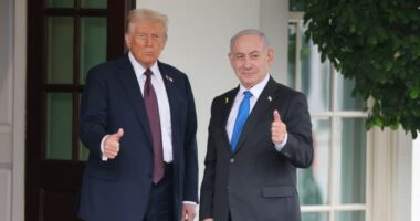 Benjamin Netanyahu says Israel backs Donald Trump’s peace plan for Gaza