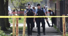 Blue city’s bail policy lets professional bad guys terrorize community with ‘no constraints’: police veteran
