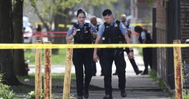 Blue city’s bail policy lets professional bad guys terrorize community with ‘no constraints’: police veteran