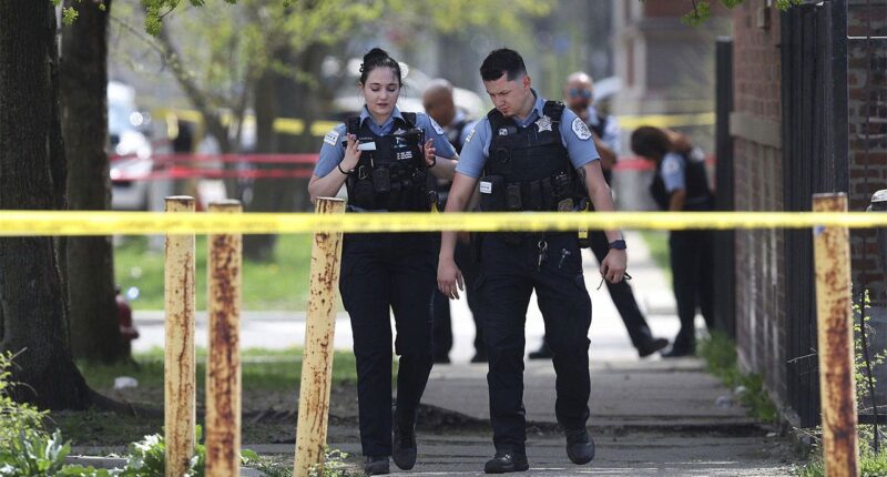 Blue city’s bail policy lets professional bad guys terrorize community with ‘no constraints’: police veteran