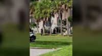 Body found in water under SR-520 bridge in Merritt Island