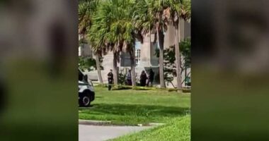 Body found in water under SR-520 bridge in Merritt Island