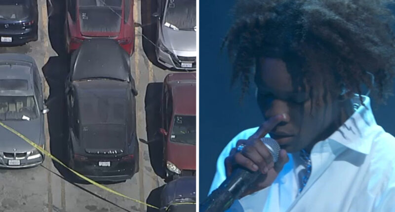 Body in Los Angeles tow yard ID'd as teenage girl after being found in Tesla linked to singer D4vd, sources tell ABC News