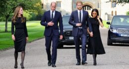 Body language expert reveals the moment William 'acted as a buffer' between Kate and Meghan while the Duchess broke royal protocol