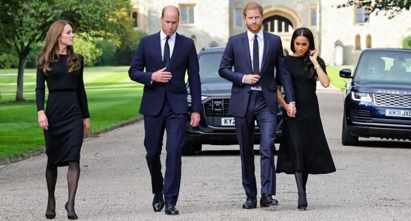 Body language expert reveals the moment William 'acted as a buffer' between Kate and Meghan while the Duchess broke royal protocol