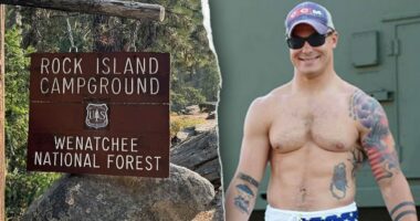 Bones found in Travis Decker manhunt are not human, FBI says amid search for suspected killer dad