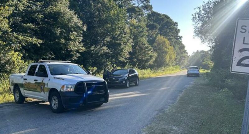 Brannan Oaks Drive shooting leaves 4 shot, 2 killed near Oakleaf Plantation