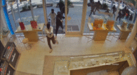 Brazen blue state jewelry store heist caught on camera as armed mob makes off with $1M in merchandise: police
