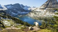 Breathtaking national park with towering cedars and incredible stargazing ranked top in the USA