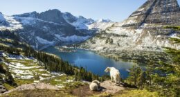 Breathtaking national park with towering cedars and incredible stargazing ranked top in the USA