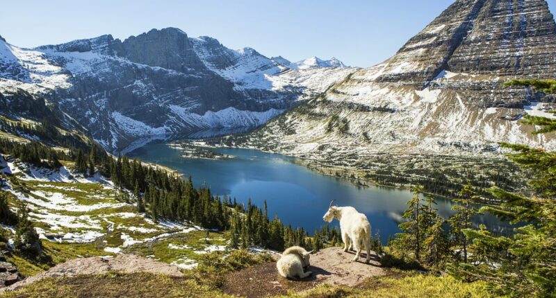 Breathtaking national park with towering cedars and incredible stargazing ranked top in the USA