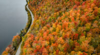 Bright, brief and early: New England's fall foliage may not last long