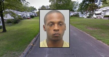 Brother bludgeoned sister with dumbbell, stabbed her: Cops