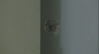 Bullets hit nearby homes in short term vacation rental shooting